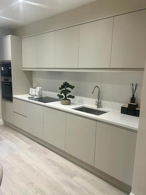 New Flat In Holland Park Apartment Londra Exterior foto